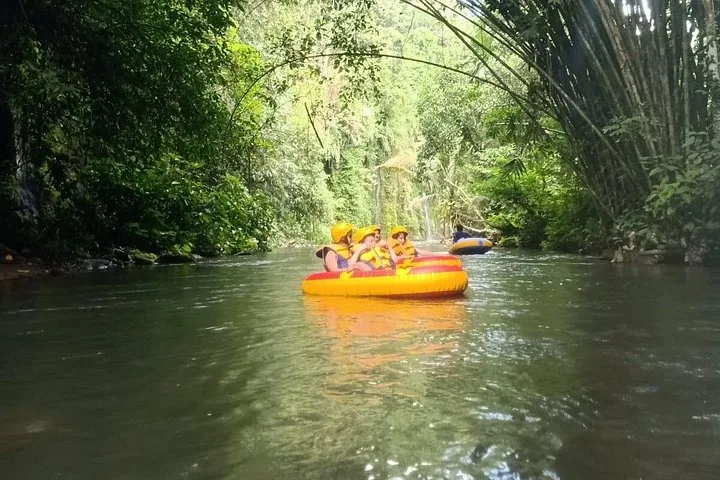 Personas haciendo rafting por un tramo tranquilo de un río rodeado de vegetación exuberante.